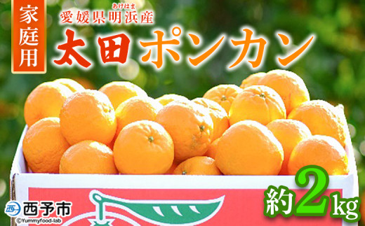 yQ\szc|J ƒp 2kg ʕ  t[c ݂ ~J k cۂ񂩂 ۂ񂩂 II^|J ۂ񂩂 󂠂 p Yi ЏΊ