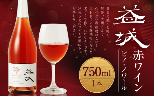 益城ワイン（赤）750ml 1本 ワイン 赤ワイン ピノ・ノワール - 熊本県