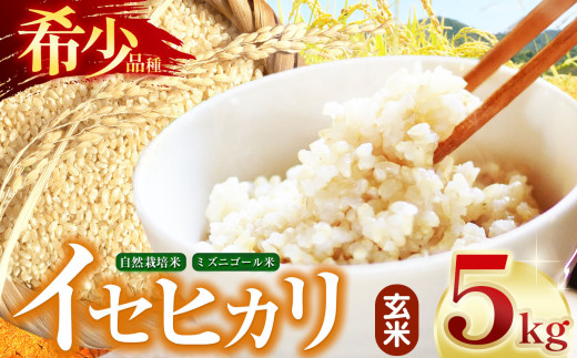 令和7年産】自然栽培 イセヒカリ 5kg 玄米 長野県産 | 米 イセヒカリ