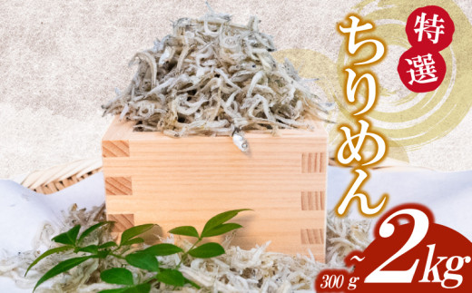 特選】かちり 300g～2kg 逸品 ちりめん じゃこ しらす 魚 冷凍
