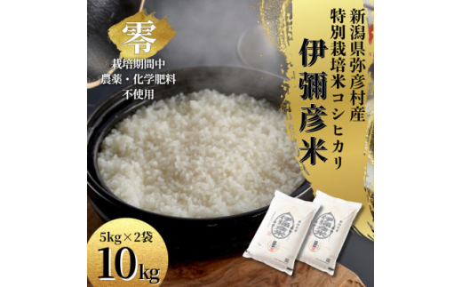 yVFzߘa7NY VY ͔|Ԓ_sgp RVqJuɜ\F ()v 10kgy1517172z