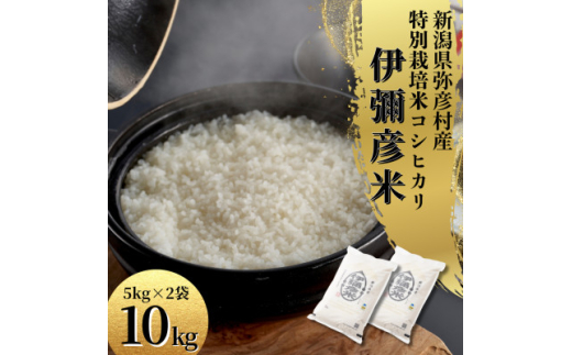 令和6年産特別栽培米コシヒカリ 伊彌彦米 10kg(5kg×2袋)新潟県産 精米 弥彦村_白米 お米 こしひかり こめ コメ 10キロ  弥彦村産【1006486】 - 新潟県弥彦村｜ふるさとチョイス - ふるさと納税サイト