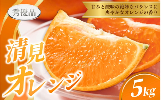 先行予約】秀優品 清見オレンジ 5kg ※箱込み ※秀優混合【S~3L 先行予約】秀優品 清見オレンジ 5kg ※箱込み ※秀優混合【S~3L