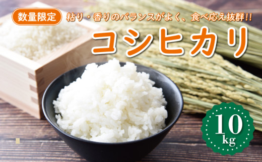 ふるさと納税 米 ヒノヒカリ 愛媛県 愛南町 先行予約 新米 令和7年産 ヒノヒカリ 10kg 18000円 お米 白米 精米 低温 貯蔵庫 産地直送 国産 農家直送 期間限定 … 令和7年産 数量限定 5回定期便】四万十市産 米 ヒノヒカリ 5kg×5回（計25kg） 四万十川の支流で育った 山間米 高知県 高知 四万十  しまんと お米 白米 精米 ひのひかり 甘み 粘り 香り 産地直送 お弁当 ごはん ご飯 25-861 / 高知県四万十市 | セゾンのふるさと納税