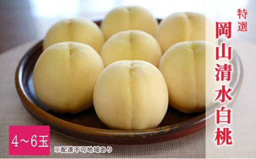 yRz 2026N s\ I R 4`6 1.5kie1.3kgȏj  RY Y t[c ʕ Mtg  fU[g 炩 ʏ`Ղ 荂