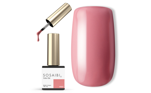 y{Qsz܍ʔJ[WF|bV 007 [0976]