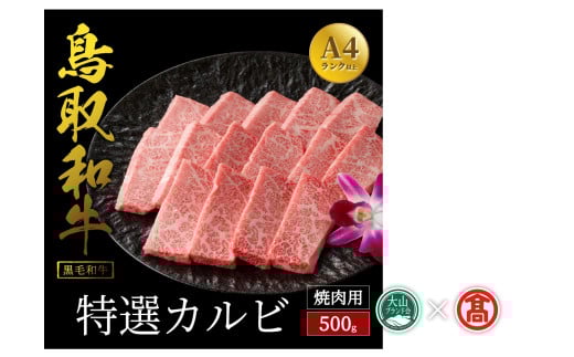 y挧Ďqsz񂾂Lb`a@IJri500gjiRuhj