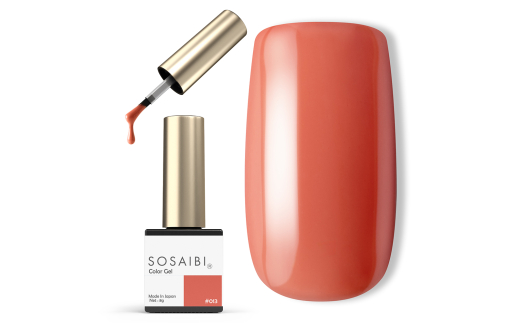 y{Qsz܍ʔJ[WF|bV 013 [0982]