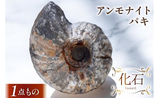 ykC̎usz AiCg pL 1 tȂy1_́z[Ή kC ̎us 01227ai083] kCY CeA u RNV