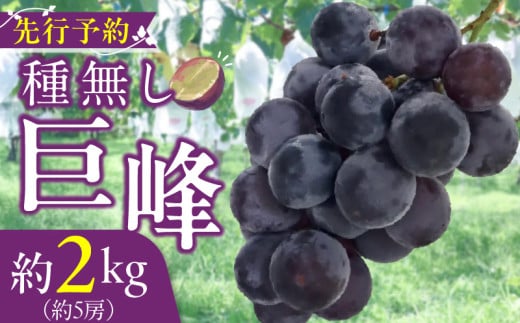 ymqsz햳 2kgi5[j 2026N s\ ȂԂǂ