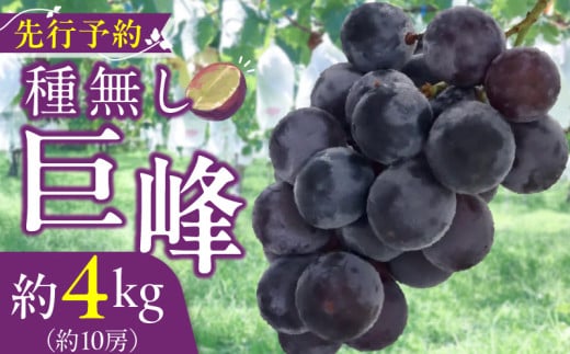 ymqsz햳 4kgi10[j 2026N s\ ȂԂǂ