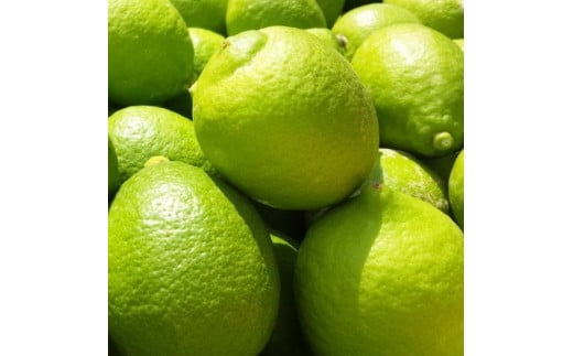 ya̎RxRzIBa̎R Lc 1kgm_ƒnms\nmMS66n