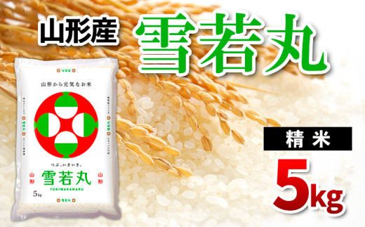 yR`R`szR`Y  5kg FZ24-937