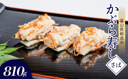 yxRvgszԂ(΁E810g)y1318690z