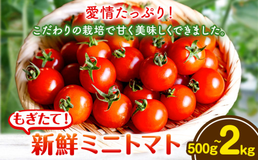 yR|z~jg}g Iׂ e 500g 1kg 2kg o_ s1{-5oׁt R |  ~jg}g  VN st-p