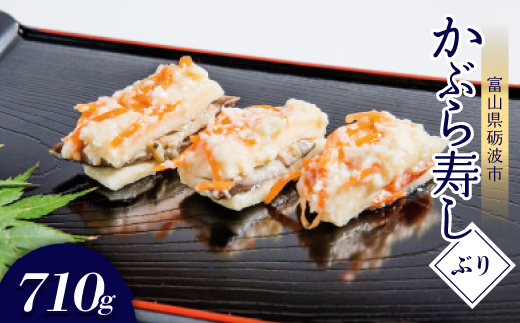 yxRvgszԂ(ԂE710g)y1318699z