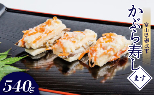 yxRvgszԂ(܂E540g)y1318693z