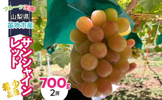 25年発送＞山梨県産 希少品種 サンシャインレッド 700g （2房）231