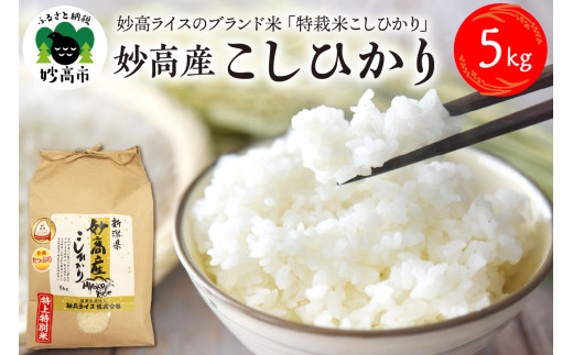 楽天市場】【特A】みずかがみ 20kg 令和6年 滋賀県産 米 お米