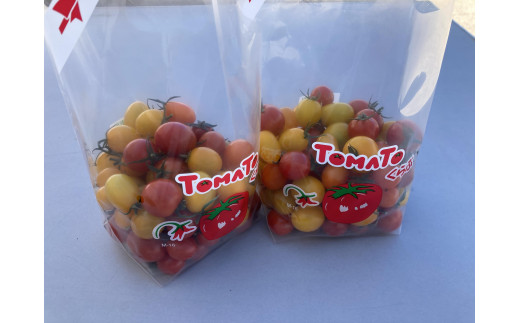 yꌧzl_ƍZ ~jg}g 800gy5E6E10Ijz