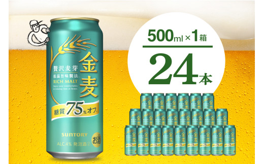 yQncz  75 It Tg[ 500ml × 24{  qVR̃r[HrEnւ̂͂s Qn    r[  Mtg 蕨 v