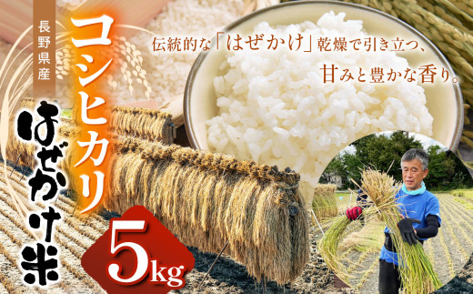 長野県産コシヒカリ（ はぜかけ米 ）5kg | ふるさと納税 こしひかり