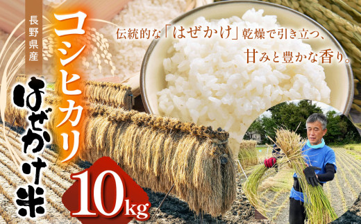 長野県産コシヒカリ（ はぜかけ米 ）10kg | ふるさと納税 こしひかり 