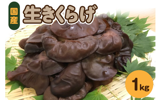 yX܏쌴szy10甭zvwňĂ LNQ  1kg ( 500g ×2)  Y y 炰 炰 ؎ LNQ {Y ̂ LmR X ܏쌴 z