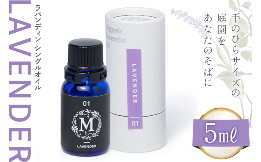 yΐ쌧u꒬zGbZV IC ofB VOIC 5ml P [Mary Jimenez ΐ쌧 u꒬ CK3083]  A}