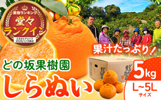 和歌山　デコポン　不知火　20kg デコポン 不知火（愛媛産）20Kgのお取り寄せ販売（通販）送料無料でお届け