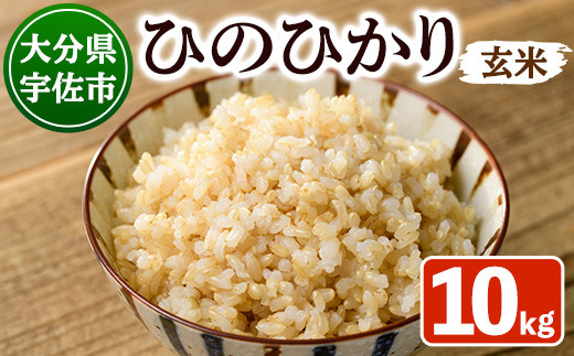 y啪FszVāEߘa7NYS@YЂ̂Ђ  (10kg)   Ђ̂Ђ qmqJ   啪Yy101200202zySayz