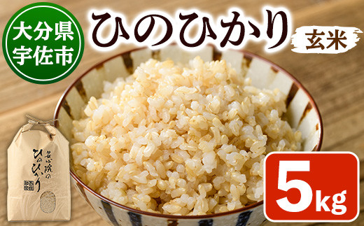 y啪FszVāEߘa7NYS@YЂ̂Ђ  (5kg)   Ђ̂Ђ qmqJ   啪Yy101200701zySayz