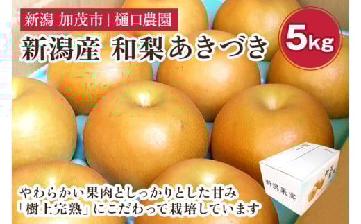 yVΎszy2026Ns\za Â 5kgi8`14ʁjs9{`oׁtʕ Ȃ  t[c VN W[V[ Yn Ύs _