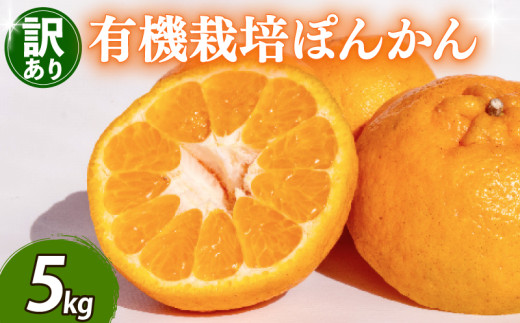 ym{szy\ 2026N2{菇z 󂠂 ۂ񂩂 5kg TCY I[KjbN _ h sgp L@ JASF k ݂  ƒp \ Ԍ G