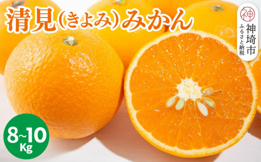 yꌧ_szy2026N3{蔭Jnz()݂ 8kg`10kgy݂ IW k t[c fU[gz(H116139)