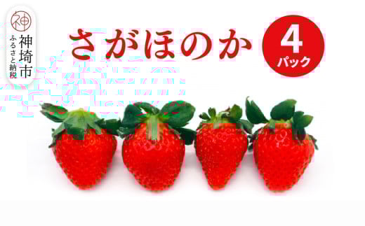 yꌧ_szy2026N1{蔭Jnzق̂4pbNyʕ  t[c  C`S  z(H116134)