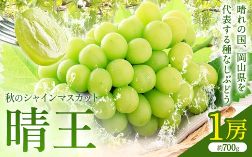 yRszy2026Ns\zH̃VC}XJbg  1[ RЁs2026N9{-10{oׁtR s VC}XJbg }XJbg Ԃǂ ʕ t[c