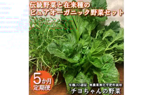 yɌzyGߌz`؂ƍݗ̃sAI[KjbN؃ZbgT[1180] o׎͂P`U dB ` _ L@JASF