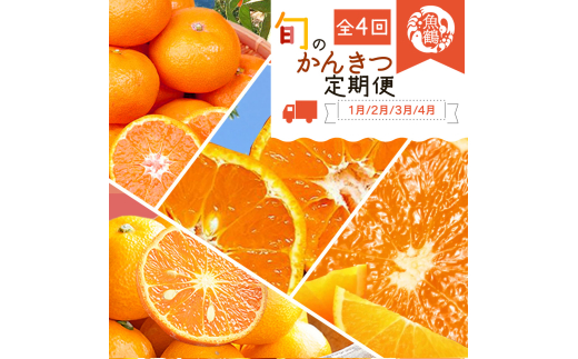 全4回】紀州和歌山産旬のご家庭用柑橘セット(みかん・不知火・せ