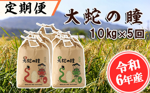 令和6年産】<定期便>大蛇の瞳 白米 10kg×5回 精米 熊本県 南関町産 単 