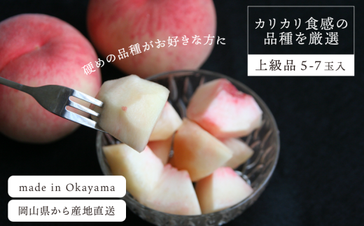 yR^szy2026Ns\zdߓ ㋉i 5-7ʓ (RY) yKF-A012-02z