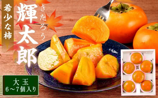 ya̎R쒬z󏭂Ȋ`mPYn6`7 RN̂ÂI_ƌIm2026N910nmKG24n