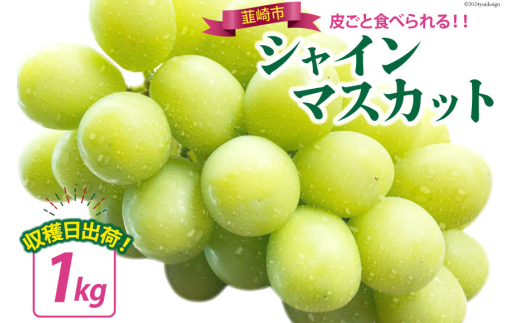 yRBszyԌ蔭zynIoׁIz VC}XJbg 2026 \ 1kg VC }XJbg R R Ԃǂ uhE  R t[c ʕ  Y [