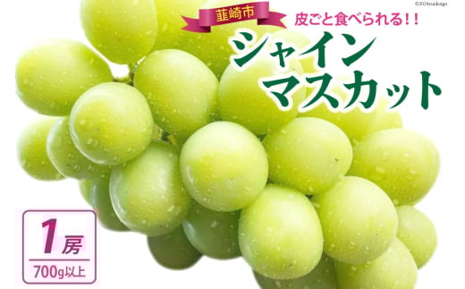 yRBszyԌ蔭zynIoׁIz VC}XJbg 2026 \ ǂ 1[ 700g ȏVC }XJbg R RY Ԃǂ uhE  R t[c ʕ