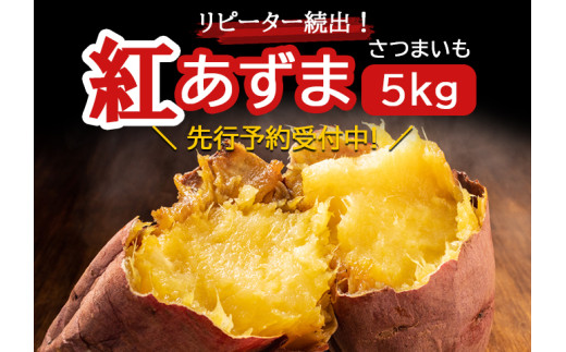 ジマ　千葉県産 さつまいも 苗 紅あずま 500本 ジマ 千葉県産 さつまいも 苗 紅あずま 500本 ジマ様専用 千葉県産