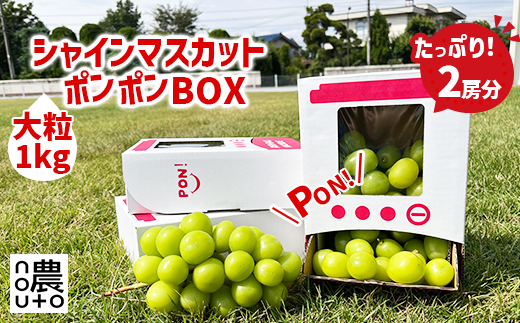 2026年発送☆先行予約】シャインマスカット 山梨 「ポンポンBox 大粒2