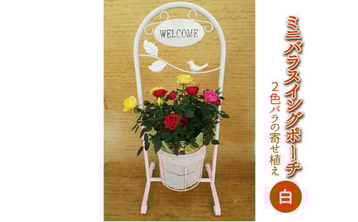 y򕌌sz~joXCO|[`iFj2`3F̃o̊񂹐A A @2026N4{`5{ɏ\@֔zs [5787-0539]