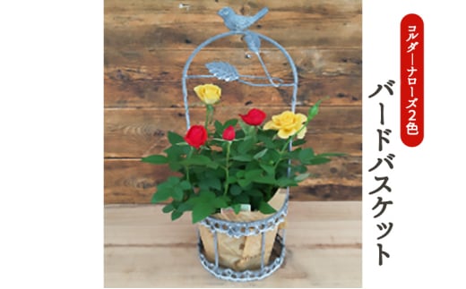 y򕌌szR_[i[YEo[hoXPbg A @2026N4{`5{ɏ\@ւ̔zs [5787-0559]