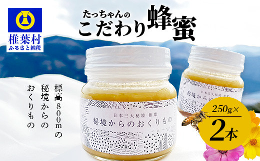 こうあんたん☆発送は平日のみ★プロフ必読　ふじのはちみつ 1200g×2本 国産ハチミツ【ハニーNO.3】ふじの公園/レギュラーサイズ（120g）