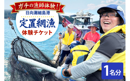 体験 日向灘細島港 定置網漁 体験チケット 1名分 [高田屋 宮崎県 日向